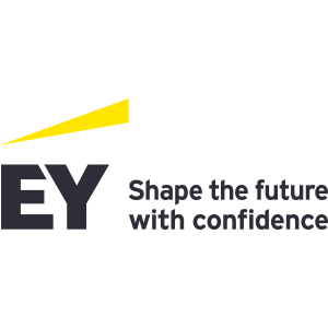 EY GmbH & Co. KG Wirtschaftsprüfungsgesellschaft